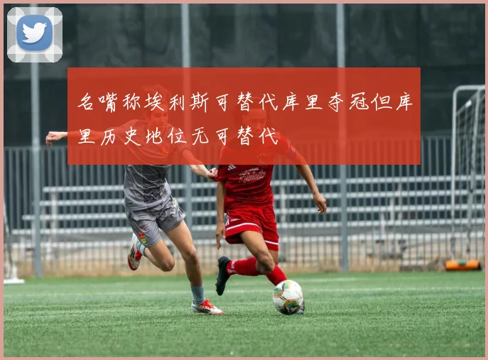 名嘴称埃利斯可替代库里夺冠但库里历史地位无可替代